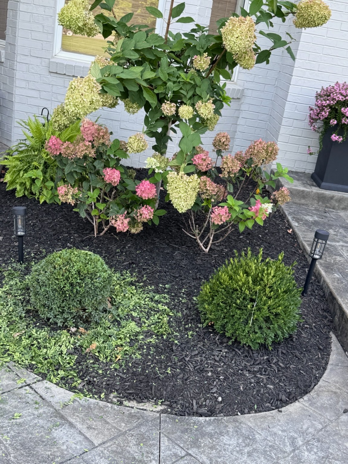 Fresh Mulch & Flower Bed Care: Hydrangeas and manicured beds