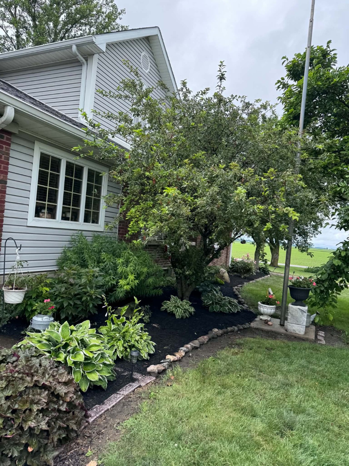 Tree & Garden Bed Maintenance: Established planting beds