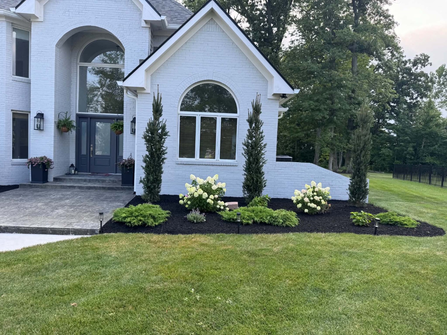 Front Yard Landscaping: Hydrangeas, evergreens and fresh mulch