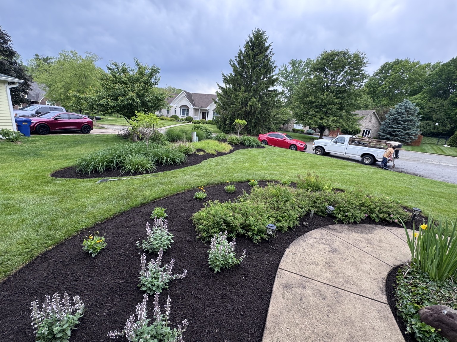 Fresh dark mulch and flowering plants near a curved walkway.