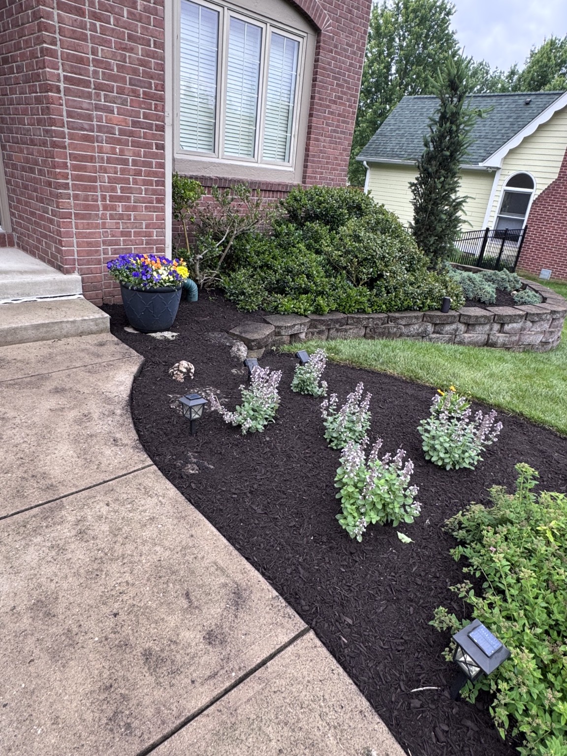 Freshly mulched flower beds alongside a walkway.