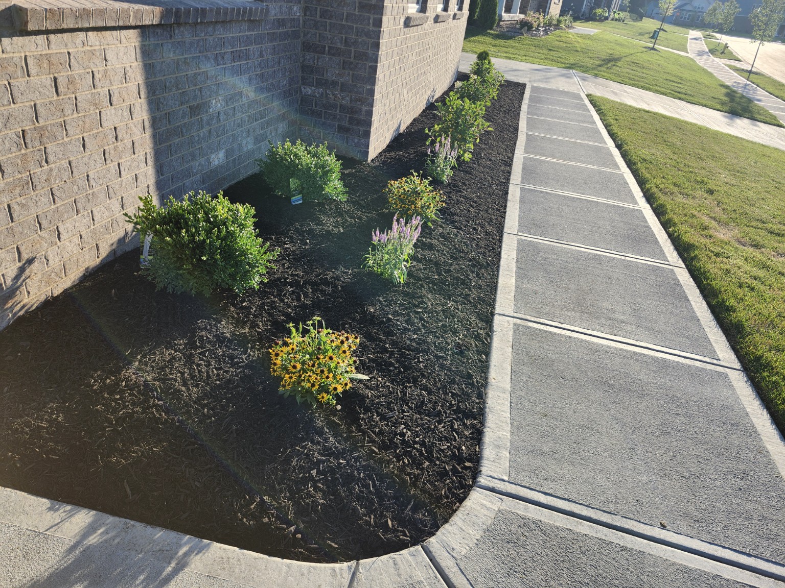 Mulched flower bed along home sidewalk
